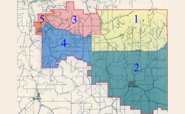  Freeman Redistricting